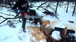 ЗУБР ПБЦ-М62-50 бензопила, 62 см3, шина 50 см