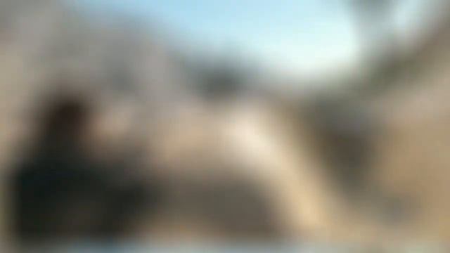 Итальянский играючи. Часть 1(Животные) смотреть онлайн