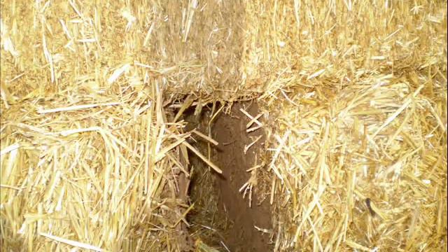 6 How to Build a Geodesic Strawbale Dome - The Entrance