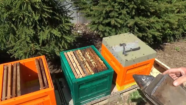 Пересадка пчелопакетов в ульи.mp4 смотреть онлайн