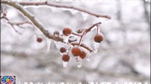 ДЕНЬ БАБЬИХ КАШ - 8 января. Народные традиции, запреты и приметы этого дня.