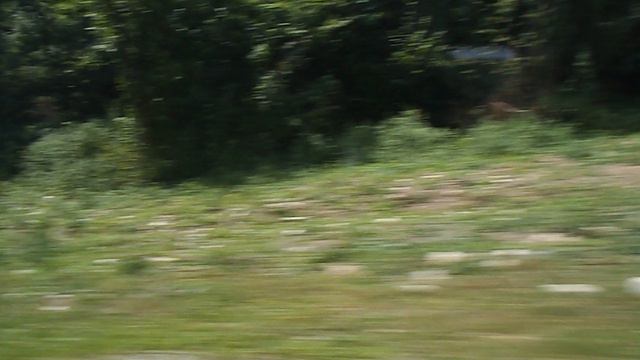 DSCN7635 Владикавказ 2024