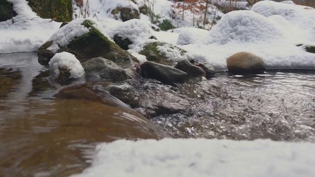 27 ноября Филиппов день. Заговенье. Что сегодня нельзя делать, чтобы потом не голодать и экономить. смотреть онлайн