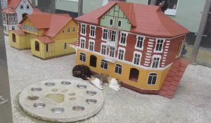 Город котов - Зеленоградск.