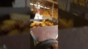 Лущилка для кукурузы из бочки