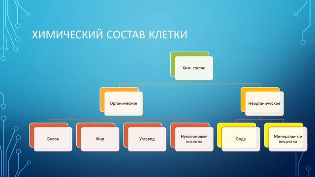 Клетка , ее строение и химический состав. 1 урок. 8 класс. Биология смотреть онлайн