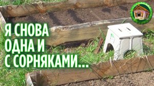 Осталась одна в деревне. 170 серия