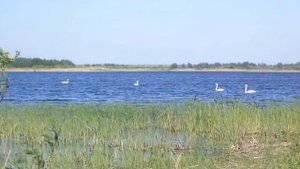 Фотофильм "Мое село Аландское"