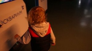 Москвариум. Московский зоопарк. Куда пойти с ребенком в Москве?