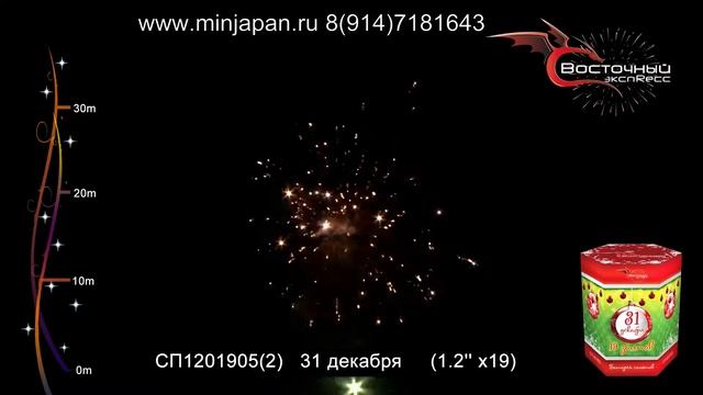 87 СП1201905 31 декабря смотреть онлайн