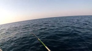 Чёрное море - Ловим Ставридку! Клёв просто "Супер"! Рыбалка.