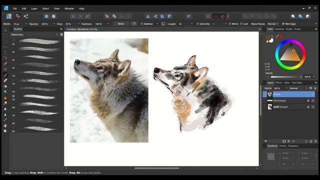 How to draw a wolf using watercolor brushes in affinity designer. смотреть онлайн