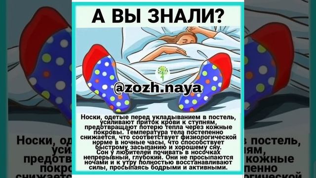 СОН В НОСКАХ смотреть онлайн