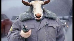 песня про полицию))))))