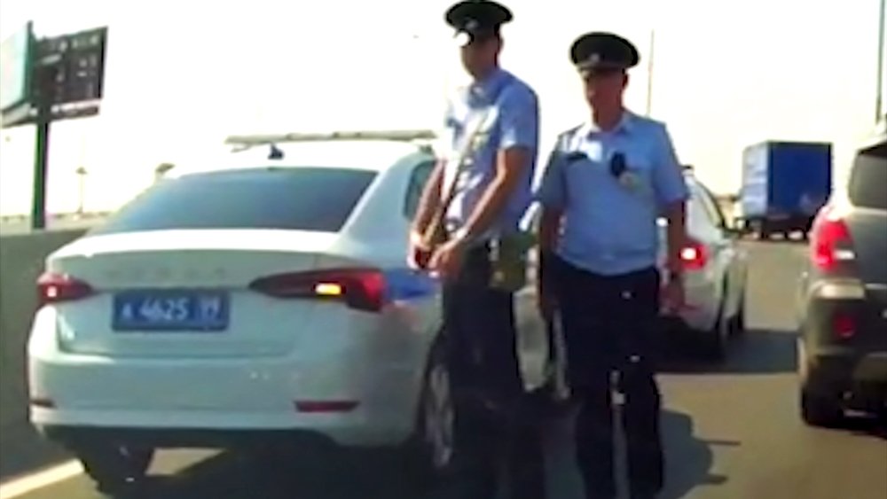 Опубликовано видео задержания свиньи сотрудниками ДПС в Москве / События на ТВЦ