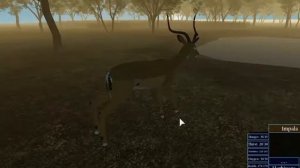 All Impala Animations/Controls! |Wild Savanna| ROBLOX