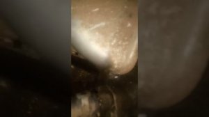 Где находится номер номер двигателя на 5а Карина АТ 170