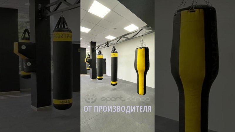 Самый продолжительный бой в истории бокса произошел в.../ #gym #спорт #fit #mma #бокс #sports #win