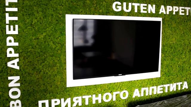 Фитостена из мха