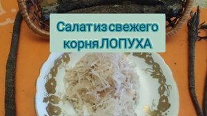 Готовим из обычного ЛОПУХА ресторанные блюда за 100 долларов! #МайскийЖеньшень  еда и ЛЕКАРСТВО!