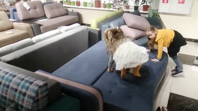 "МАЙАМИ-2" - диван-кровать (механизм трансформации "Еврокнижка") смотреть онлайн