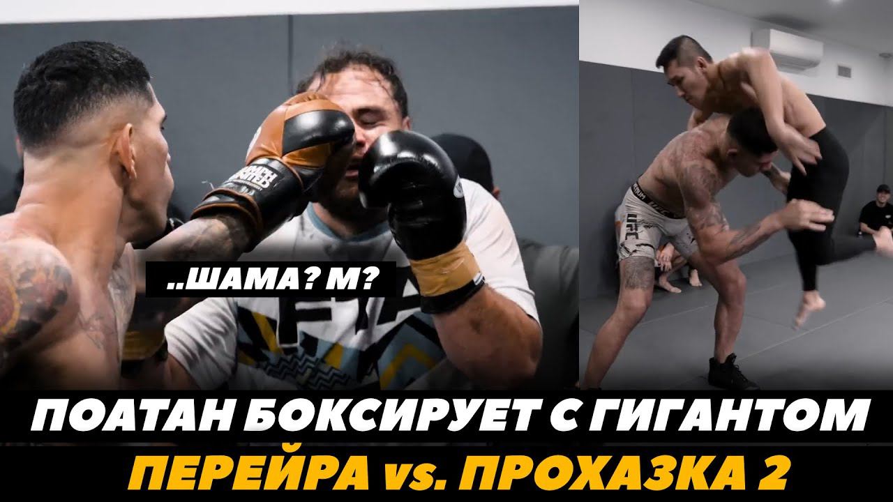 Алекс Перейра спаррингует с ГИГАНТОМ / Перейра - Прохазка 2 / Перейра - Туйваса | FightSpaceMMA