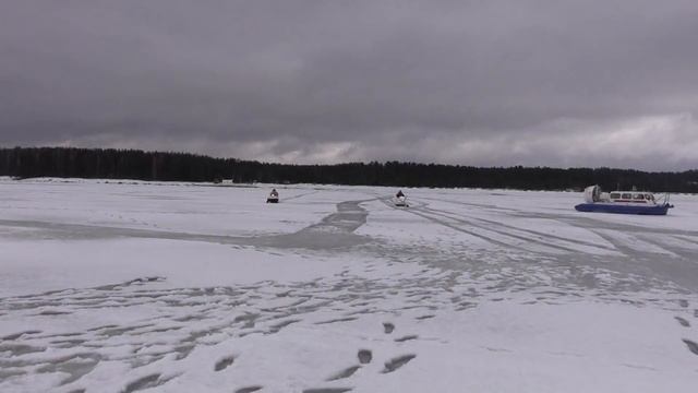 Ленинградская область присоединилась к всероссийскому флешмобу смотреть онлайн