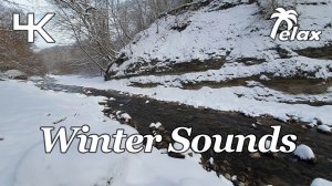 Snowy river - Water sounds - Relaxing winter video & Forest snow