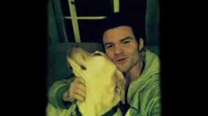 Daniel Gillies