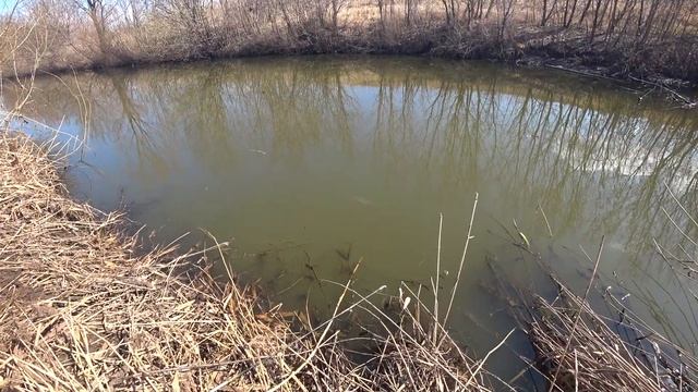 Весенняя рыбалка на червя в мутной воде смотреть онлайн