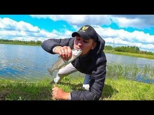 Форель НА Поплавок и Кукурузу Бешеный Клёв Жесть !