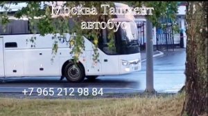 москва ташкент автобус moskva tashkent avtobus