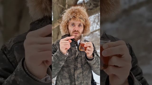 Почистить печень после вредной пищи или алкоголя