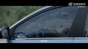 гибрид Джили