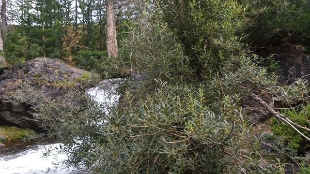 Чуйский тракт.Тыктугемский водопад.23 июля