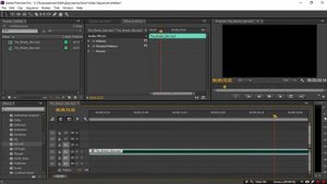 8# Premiere Pro - Делаем стерео из моно