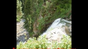 Стихи о жизни. Движение жизни.