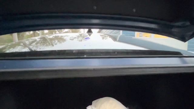 2021 Elantra: Interior and tag light replacement + Another KDM meet! смотреть онлайн