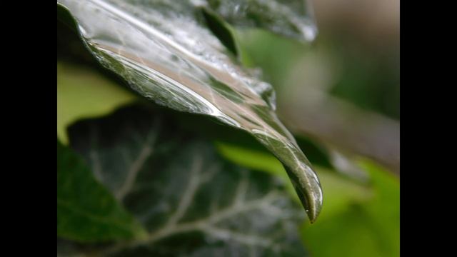 Nikon Coolpix L840 Sample pictures 2 смотреть онлайн