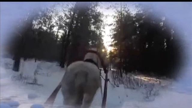 Эх!!! Вы Сани )))) смотреть онлайн