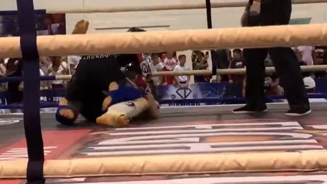 Жуков Руслан кубок мира по ММА г. Анапа 2018 г. смотреть онлайн