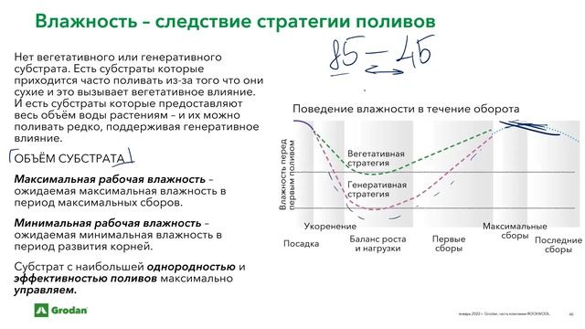 Водный баланс растений.Часть 2.5. смотреть онлайн