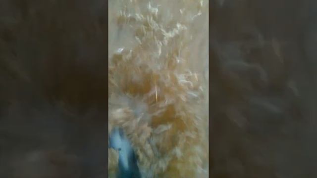 впервые так затопило смотреть онлайн