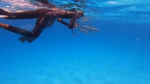 ДЕЛЬФИНИЙ РИФ - МОЯ МЕЧТА СБЫЛАСЬ! Плаваю с дельфинами в Марса Алам. ЕГИПЕТ