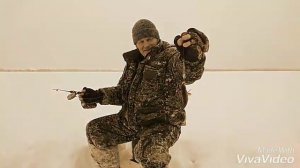 Тайга 500 и Тикси 250.