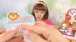 ПУШИСТИКИ (СОБАЧКИ) Sweet Box. #1 Распаковываем собачек Свит Бокс с Ариной