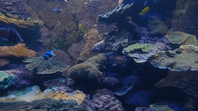 Сказала супругу, чтобы его ребёнок больше не появлялся в нашем доме смотреть онлайн