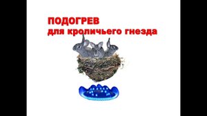 Подогрев для кроличьего гнезда. Обогреваем маточник
