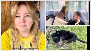 Куда же мы летим на весь декабрь? Раскрываю карты. Деревянный дом живой? Влог.