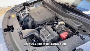 2022 VENUCIA-V 260T Amazing Car | Auto China